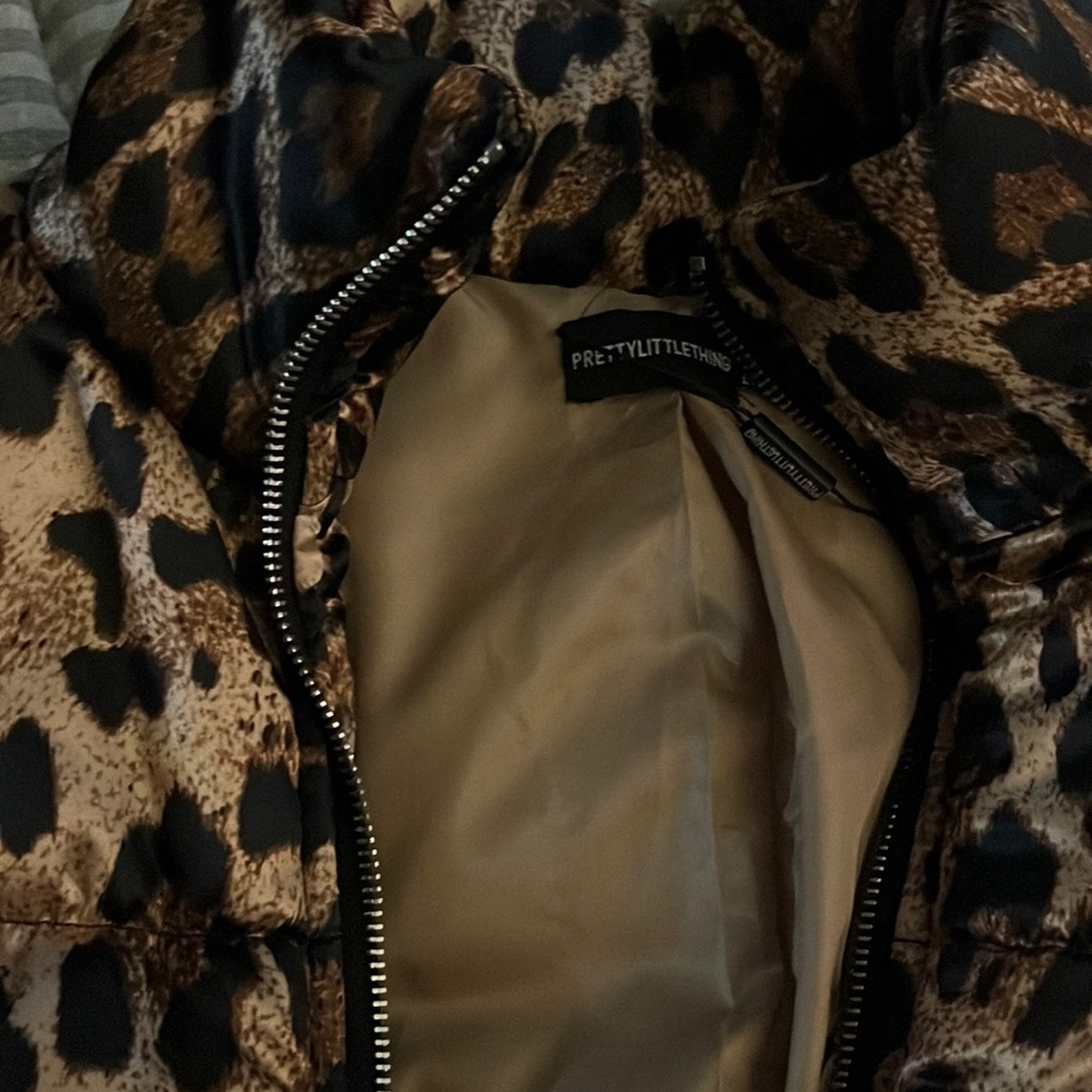 Cheetah!